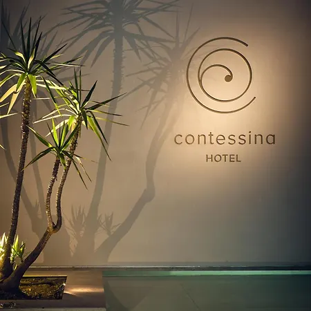 Contessina 5* Tsilivi (Zakynthos)