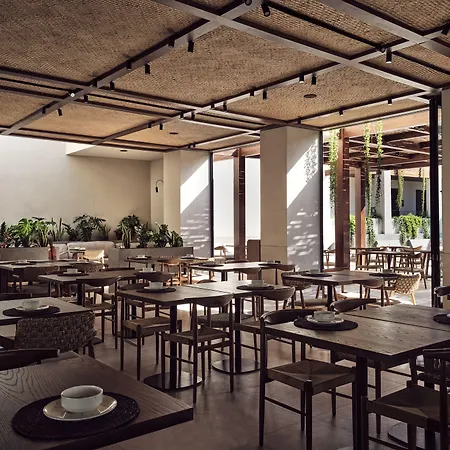 Contessina Hotel Tsilivi (Zakynthos)