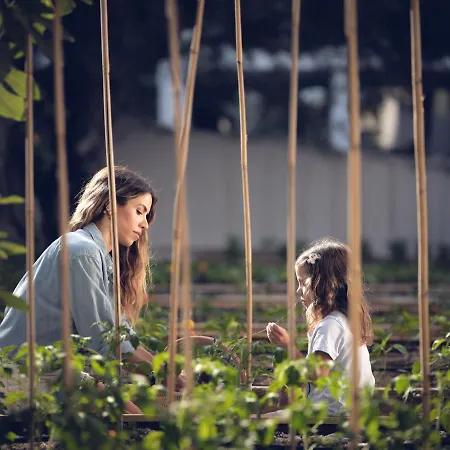 Contessina Hotell 5*